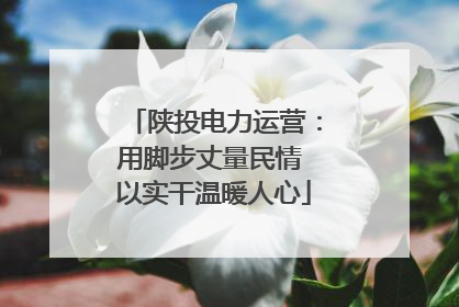 陕投电力运营：用脚步丈量民情 以实干温暖人心
